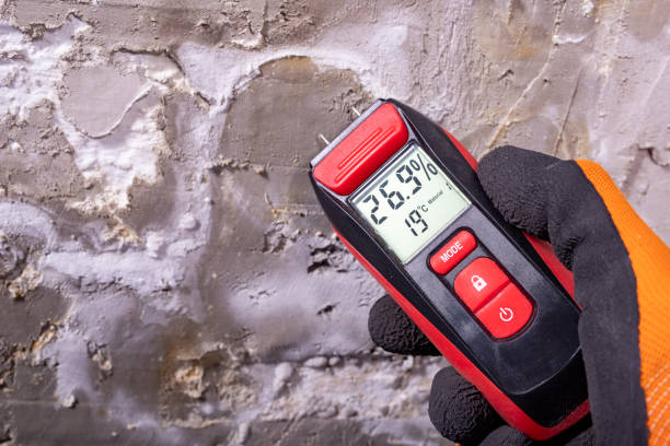 Best Office Mold Removal Services  in Red Lake, MN