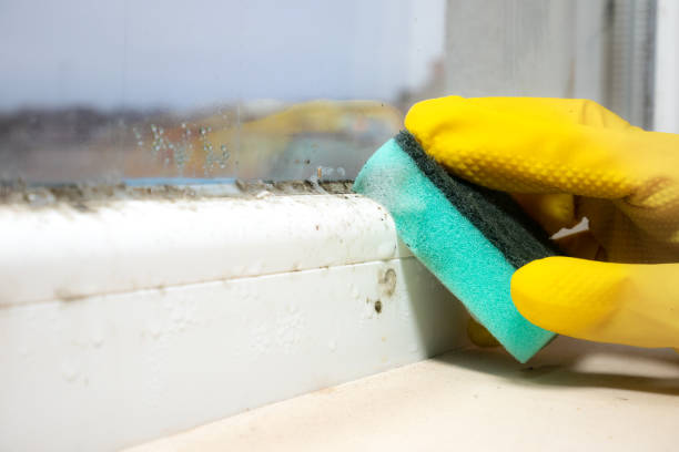Crawl Space Mold Removal in Red Lake, MN