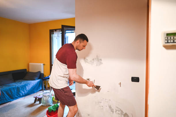 Best Commercial Mold Removal  in Red Lake, MN